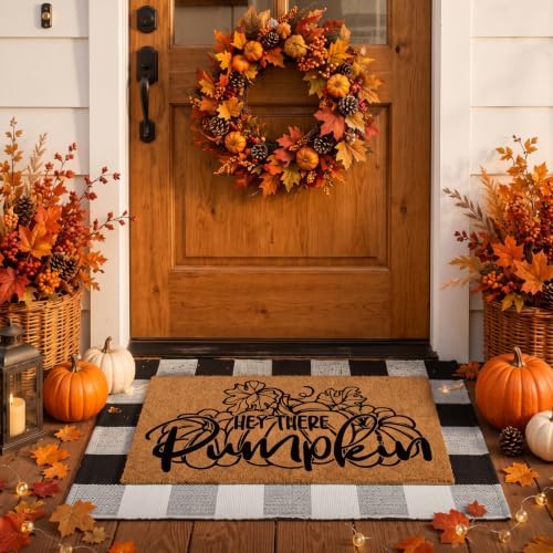 Moucuny 2 Pcs Fall Front Door Mat, Coir Welcome Doormat Outdoor, Non Slip by Moucuny