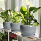 SQOWL 10 Inch Plant Pot - Ceramic Planter for Indoor Plants, Round Ceramic Flower Pot with Drainage Hole and Saucer, Modern Large Outdoor Planter, Room Decor, Housewarming Gifts, Gray - Image 6