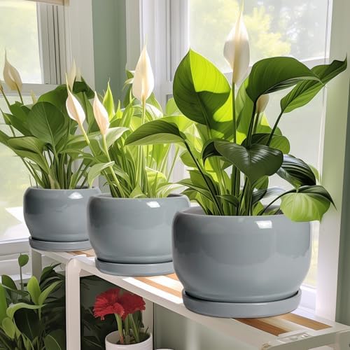 SQOWL 10 Inch Plant Pot - Ceramic Planter for Indoor Plants, Round Ceramic Flower Pot with Drainage Hole and Saucer, Modern Large Outdoor Planter, Room Decor, Housewarming Gifts, Gray - Image 6