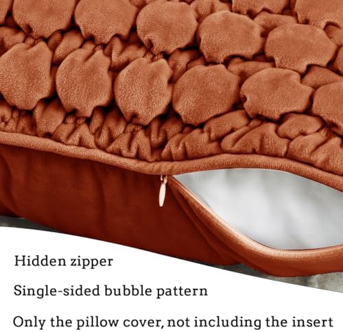 Velvet Throw Pillow Covers 18x18 Set of 2 Rust Cushion Case - Image 5