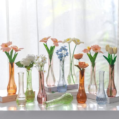 NUPTIO Glass Bud Vases Centerpiece Bulk, 8.5" Tall, Colored, Set of 12 by Nuptio