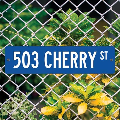 Custom Street Sign, Personalized Street Sign, Customizable Novelty Road Blue Background Sign, 24x6 Inches, ACM, Fade Resistant, Made in USA by Sigo Signs - Image 4