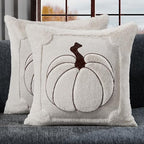 Allorry Fall Pillow Covers 26x26 2 Pack Cream White Pumpkin Home Decor 010E by Allorry