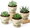 Ceramic Plant Pots, Vintage Succulent Pots, Plant Pots Indoor Set of 4, Planters with Drainage and Attached Saucer, 4.8 Inch Floral Flower Pots for Home Decor, Plant Lover Gifts by MISSYSSIM