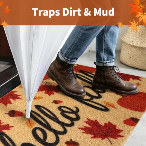 Fall Door Mat, Non Slip Outdoor Front Porch Welcome Mat 24"x48" - Image 3
