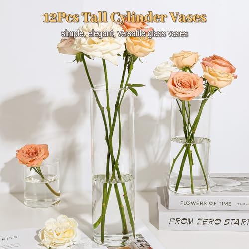 TBWIND 12pcs 12 Inch Clear Glass Cylinder Vases for Centerpieces - Image 5
