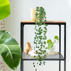 240Pack Artificial Ivy Garland, 1680Ft Fake Vines Hanging Plants for Room Decor, 72 Leaves Aesthetic Faux Greenery Garland Vines Leaf with Strengthened Joint Prevent Leaves Falling Off for Wall Decor - Image 4
