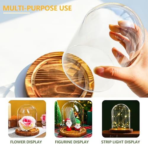 2 Pack Glass Cloche Domes with Wooden Bases, Glass Display Bell Jars - Image 4