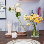 TBWIND 12pcs 6 Inch Clear Glass Cylinder Vases for Centerpieces - Image 5