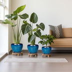 Ceramic Plant Pots Indoor, 10 Inch 8 Inch 6 Inch Round Planters Pots for Indoor Outdoor Plants, Modern Large Flower Pots with Drainage Holes and Saucers, Set of 3, Blue - Image 2