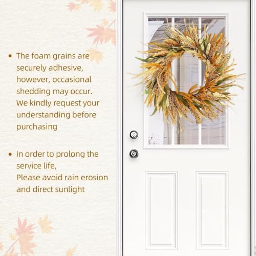 Fall Harvest Grain Wreath for Front Door Outside, 22-24 Inch Indoor Outdoor Wreath for Thanksgiving, Farmhouse Autumn Wreath for Home Porch Wall Window - Image 4