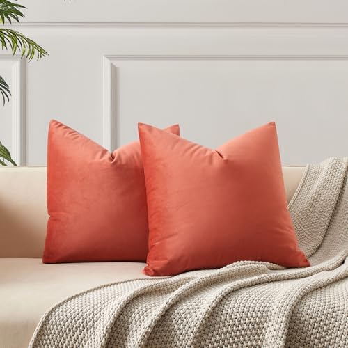 JUSPURBET 28x28 Euro Velvet Throw Pillow Covers Set of 2,Apricot by JUSPURBETHOME