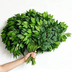 65pc Italian Ruscus Greenery Stems Garland Fake Green Leaves for Home Decor by VOELIGT
