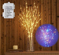 Hairui Lighted Birch Branches Battery Operated with 8 Functions 100 Multi Color and Warm White Lights, Pre Lit Twig Branches for Easter Christmas Party Room Decoration by Hairui