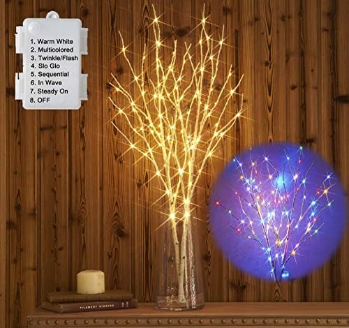 Hairui Lighted Birch Branches Battery Operated with 8 Functions 100 Multi Color and Warm White Lights, Pre Lit Twig Branches for Easter Christmas Party Room Decoration by Hairui
