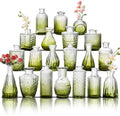 Glass Bud Vase Set of 20, Small Flower Vases, Glass Vases for Centerpieces, Vintage Home Table Decorations Bud Vases (20 Pcs, Green) by BJONKZ