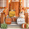 Moucuny Set of 6 Farmhouse Outdoor Fall Decoration for Home Porch, Pumpkin by Moucuny