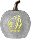 Let's Make Memories Personalized Pumpkin for Halloween - Custom Jack O Lantern With Your Name - Fall Decor - Light Up Pumpkin for Indoor/Outdoor Use - Floral Name and Monogram - Small - Silver Glitter by LetsMakeMemories