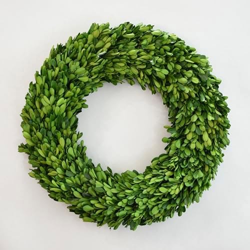 Preserved Boxwood Wreath 16 Inch – Real Greenery Spring Summer & Year-Round Indoor Décor, Farmhouse Wall Door & Mantel, Fade-Resistant by Unknown