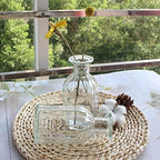 Set of 12 Glass Vases Bud Vases in Bulk, Small Vase for Flowers - Image 3