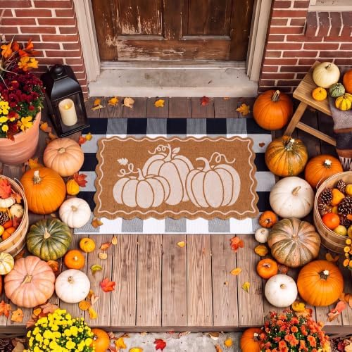 Moucuny 2 Coir Outdoor Mat,Non Slip, 24'' X 35'',16'' X 28'', White Pumpkin - Image 5