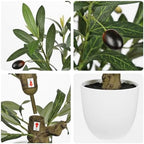Briful 24.8 Inch Artificial Olive Tree in White Pot for Tabletop Decor - Image 3