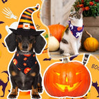 Abbylike 50 Pcs Halloween Dog Bandanas Bulk, Pumpkin Ghost Bat Skull - Image 4