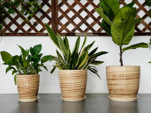 10 Inch Plant Pot Ceramic Pots for Plants with Drainage Hole and Saucer Round Flower Pot for Home Patio Garden Office Yellow - Image 7