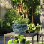 SQOWL 10 Inch Plant Pot - Ceramic Planter for Indoor Plants Outdoor, Large Ceramic Flower Pot with Drainage Hole and Saucer, Decorative Round Planter, Living Room Decor, Gifts for Women Men, Green - Image 5