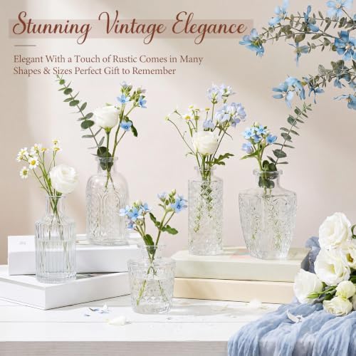 Dandat 24 Pieces Small Clear Vase Bulk 12 Style Decorative Bud Vase - Image 3