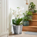 10 Inch Plant Pot, Ceramic Planter with Drainage Hole, Silver - Image 6