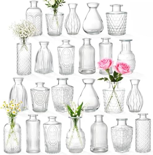 Dandat 24 Pieces Small Clear Vase Bulk 12 Style Decorative Bud Vase by Dandat