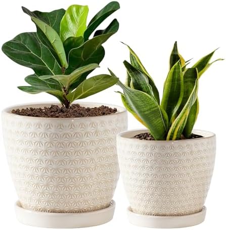 Plant Pots, Flower Pots, Planters for Indoor Plants(6.5+5.5inch), Flower Pots for Indoor Plant with Drainage Hole and Saucer, Ceramic Pots for Plants with Hole Mesh Pad,Reactive Glaze White by Swkien