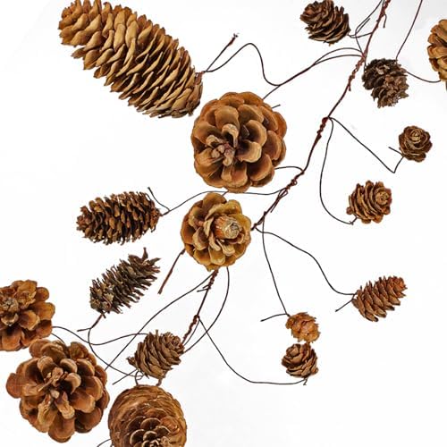 Winlyn 2 Pack Rustic Natural Pinecone Garland 4.6ft Hanging Pinecones Vine Assorted Dried Pine Cones String for Farmhouse Home Thanksgiving Christmas Holiday Woodland Backdrop Wreath Table Centerpiece - Image 3