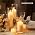 Sandraheer 12 White Pillar Candles and Clear Hurricane Glass Candle Holders - Image 7