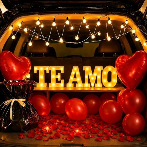 Te Amo Light Up Letters with 1000 Rose Petals by Unknown