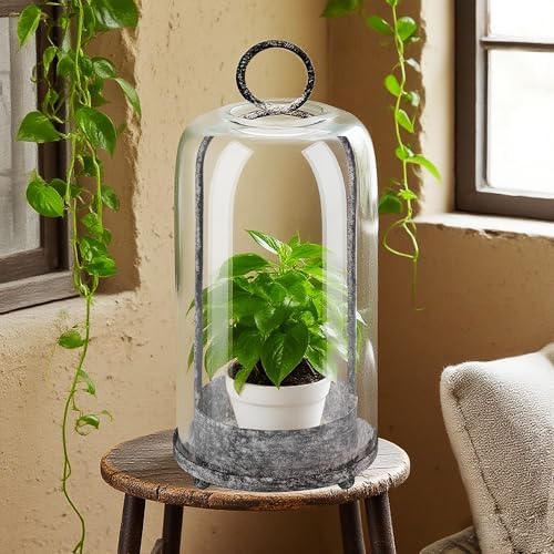 12" High Versatile Modern Metal Hurricane Lantern with Handmade Sturdy Glass Dome in Shabby White for Pillar Candle & Plants, Industrial, Farmhouse (White Shabby, 5"x12") - Image 4