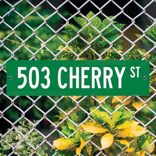 Custom Street Sign, Personalized Street Sign, Customizable Novelty Road - Image 4