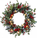 Kajaia 22'' Christmas Wreath for Front Door with Lights Decoration, Red by Kajaia