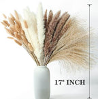 300 PCS Dried Flower Bouquet – Pampas Grass, Floral Decor for Home, Wedding, and Boho Style | Perfect for Vases, Fall, Spring, Summer, and Winter Arrangements (Pack of 2) - Image 3