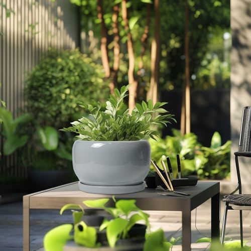 SQOWL 10 Inch Plant Pot - Ceramic Planter for Indoor Plants, Round Ceramic Flower Pot with Drainage Hole and Saucer, Modern Large Outdoor Planter, Room Decor, Housewarming Gifts, Gray - Image 5