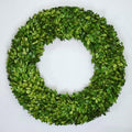 Preserved Boxwood Wreath 24 Inch Oversized – Real Greenery Spring Summer & Year-Round Indoor Décor, Farmhouse Wall Door & Mantel, Fade-Resistant by Unknown