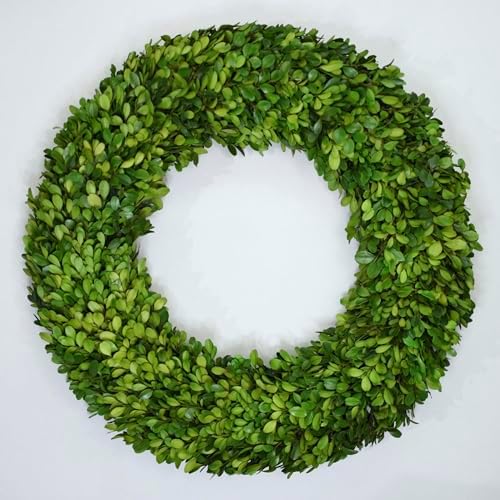 Preserved Boxwood Wreath 24 Inch Oversized – Real Greenery Spring Summer & Year-Round Indoor Décor, Farmhouse Wall Door & Mantel, Fade-Resistant by Unknown