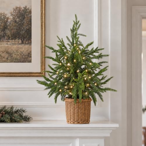 Christmas Decorations - 2FT Pre-Lit Artificial Norfolk Pine Christmas Tree - Image 4