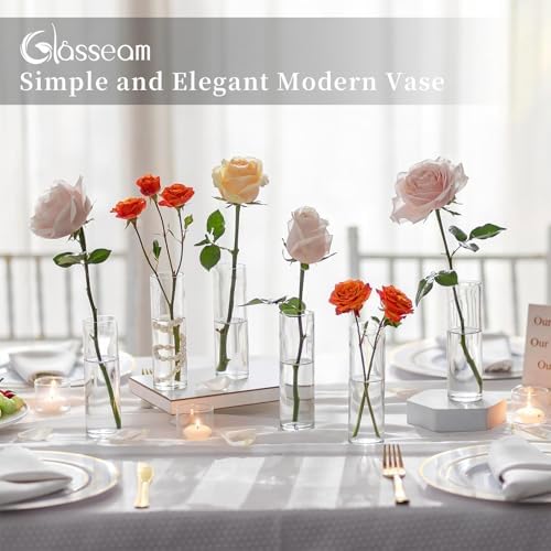 Glasseam Cylinder Bud Vases in Bulk 24: Clear Small Glass Vases for Flowers - Image 5