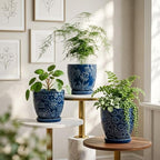 Hollyone Set of 3 Blue Ceramic Planter 6 Inch Flower Plant Pot with Drainage Hole and Saucer for Plants Embossed Indoor Outdoor Garden Embossed Ceramic Glazed Round Pot for Succulent Orchid - Image 5