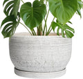 SQOWL Ceramic Flower Pots - 10 Inch Plant Pot Indoor with Drainage Hole and Saucer, Modern Ceramic Planter Outdoor, Decorative Large Round Planter, Bedroom Decor, Plant Lovers Gifts, Gray by SQOWL