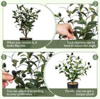 Giegxin 2 Pack 15.8 Inch Small Artificial Olive Tree Indoor 40cm Faux Olive Plant with Black Pot for Home Office Room Table Modern Decor - Image 3