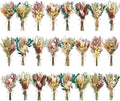 12/24PCS Handmade Dried Flower Bouquet with Stems Natural Dried Wildflowers 7.5 Inch Mini Dry Flowers for Vase Farmhouse Decor, Wedding Styling, Photography Props, Gift DIY(24pcs, Bright) by Unknown