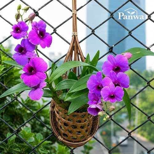 Handmade 100% Thai Bamboo Hanging Orchid Basket – 4 Inch Set of 6 - Image 3